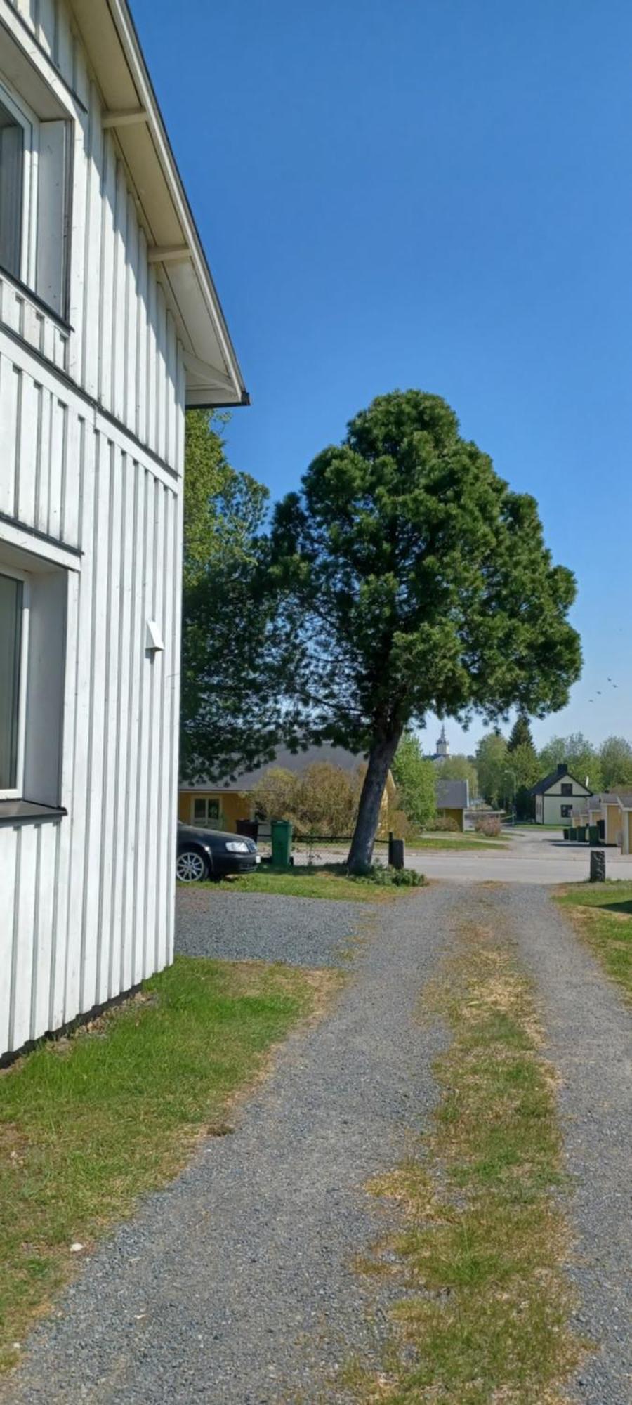 Vita Villan Holiday home Haparanda